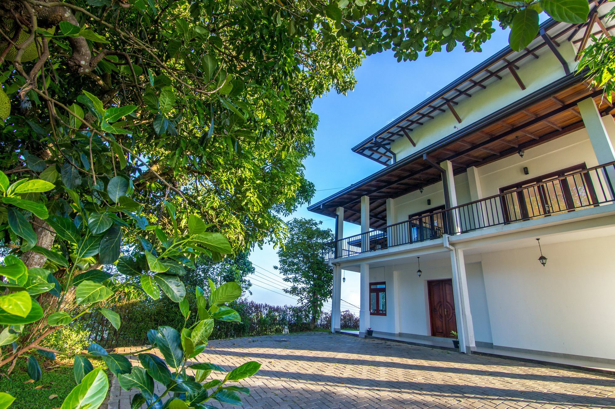 Jack Tree Lodge Kandy Kültér fotó