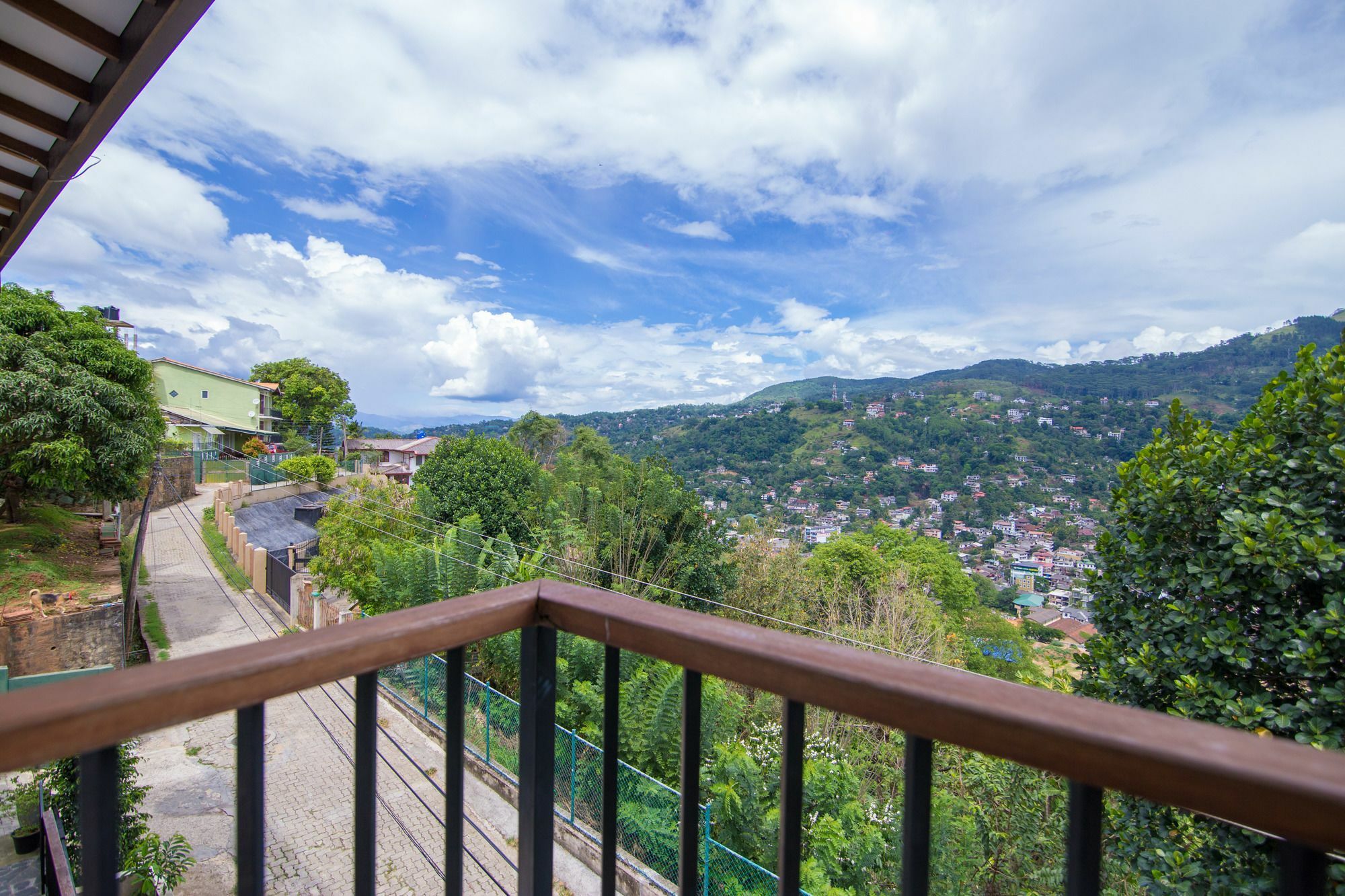 Jack Tree Lodge Kandy Kültér fotó