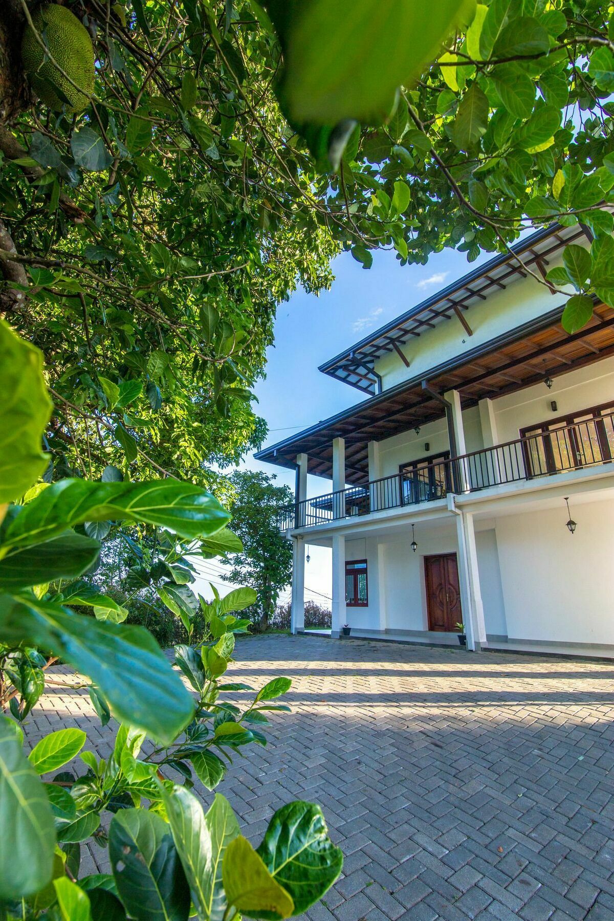 Jack Tree Lodge Kandy Kültér fotó